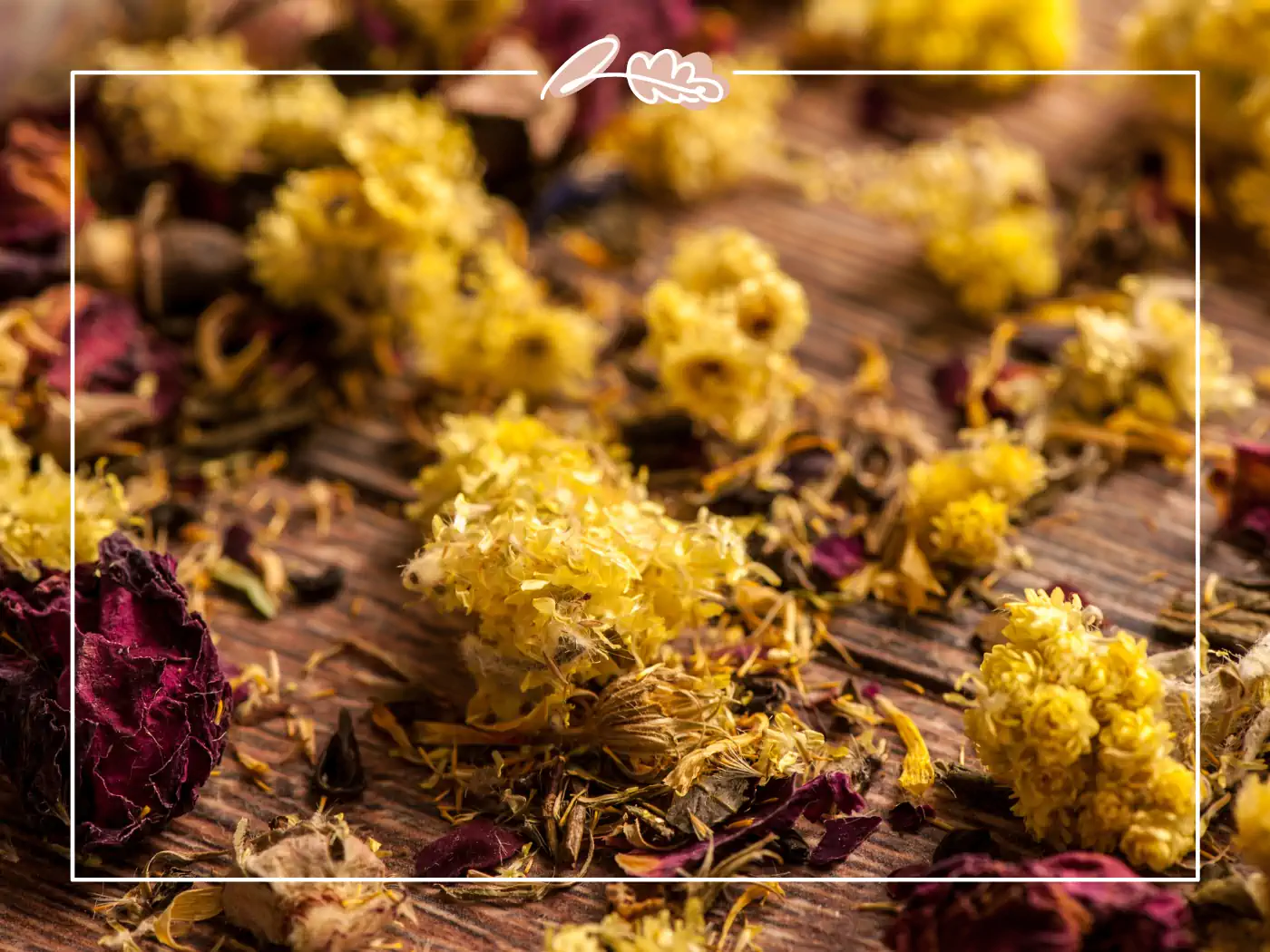 A close-up of scattered dried yellow and red flowers, creating a beautiful mix of textures and colors on a wooden surface. Fabulous Flowers and Gifts.