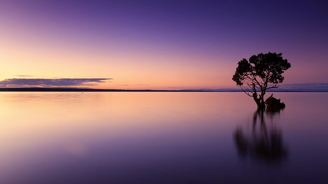 serene and scenic view of a sunset over a body of water. 