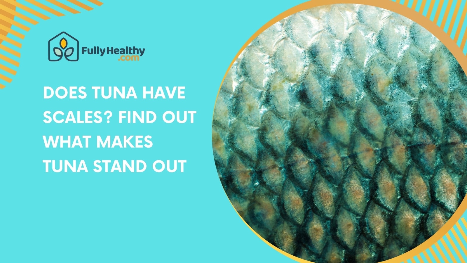 Does Tuna Have Scales? Find Out What Makes Tuna Stand Out