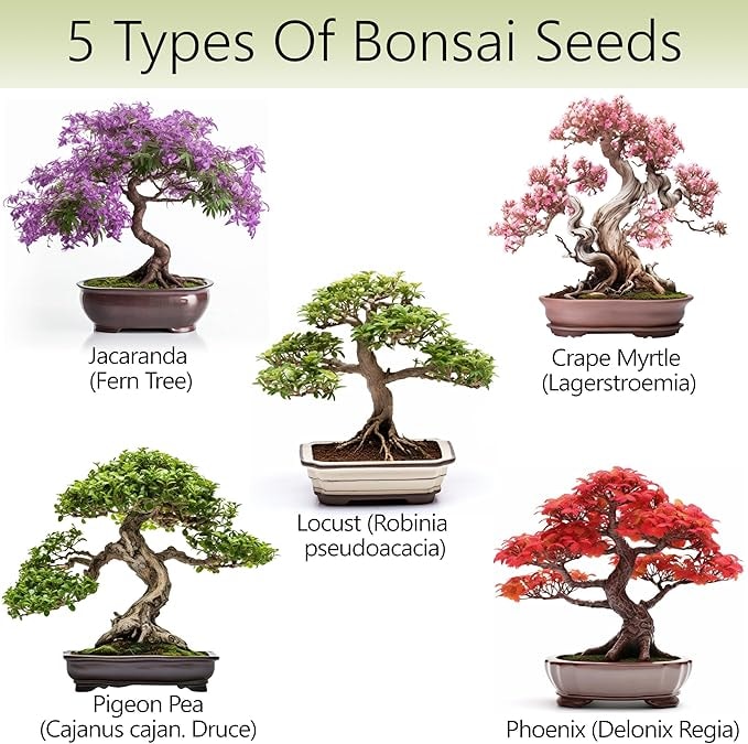 Bonsai Tree Kit