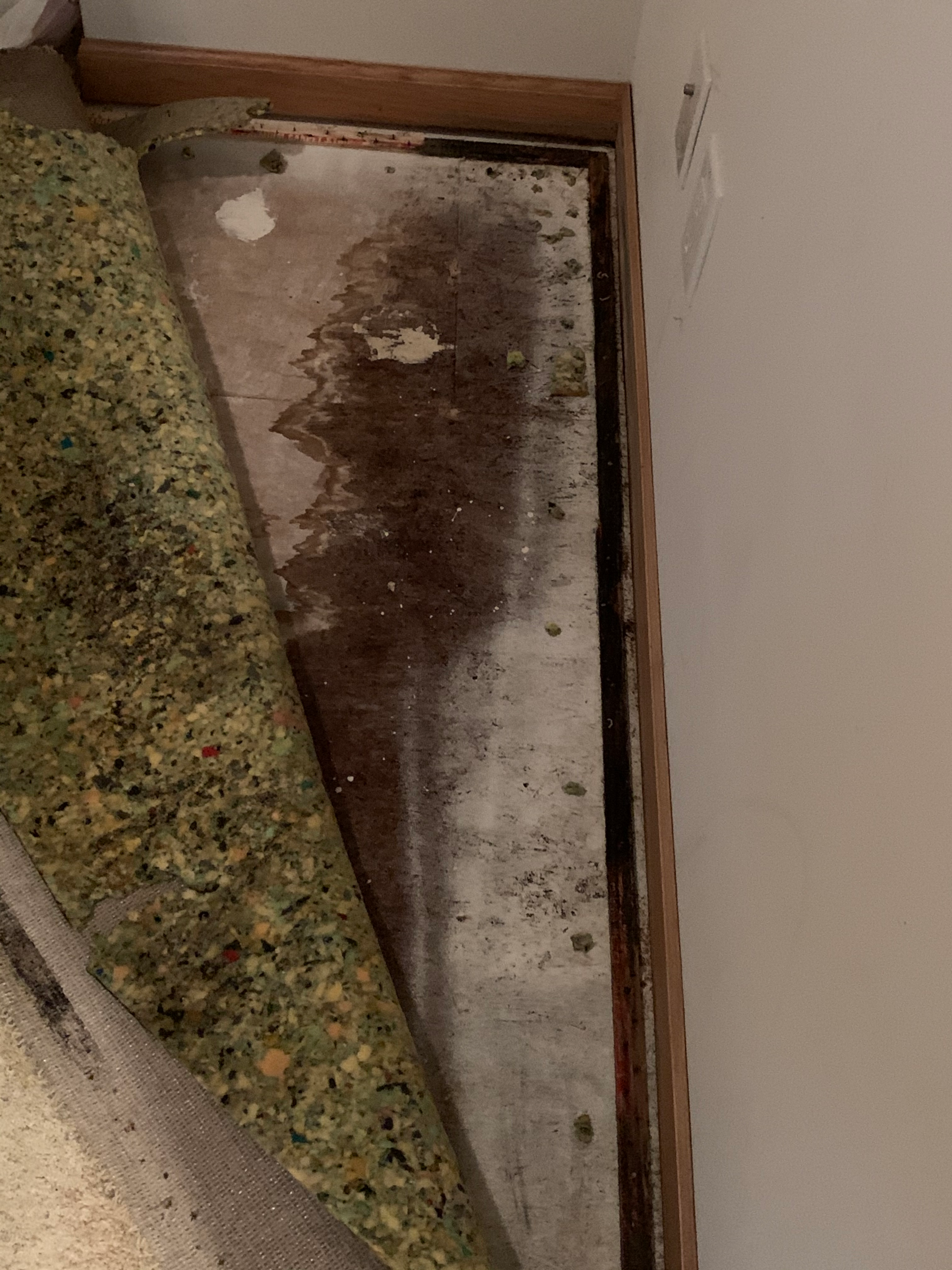 Water Damage Restoration Process Hidden Growth