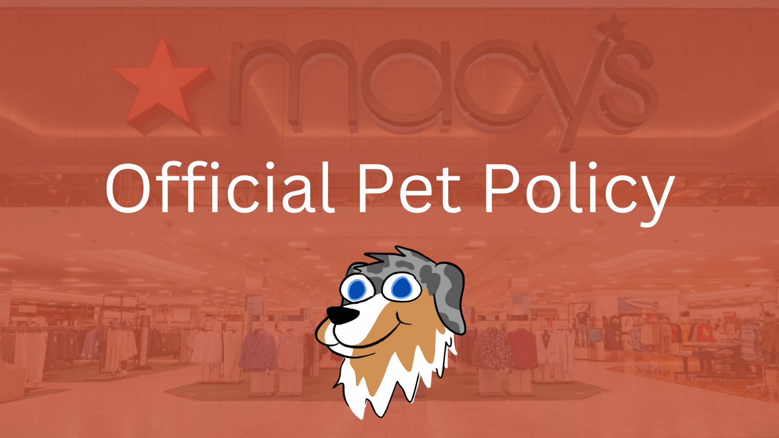 Image Text: "Official Pet Policy"