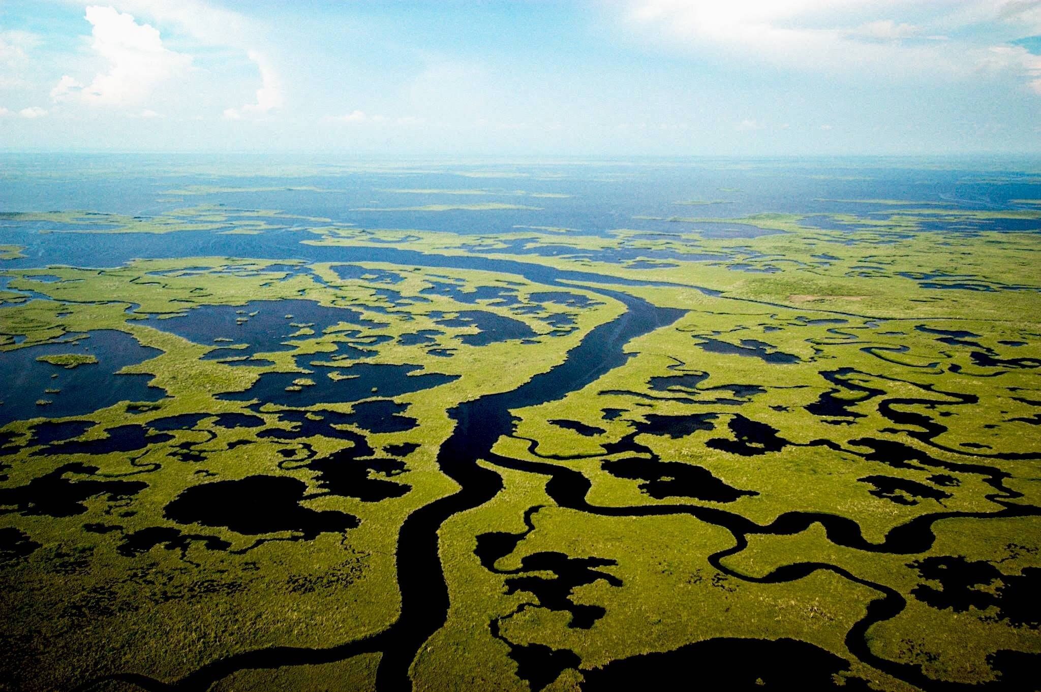 Importance of the Florida Everglades