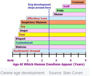 Na podstawie: https://www.psychologytoday.com/gb/blog/canine-corner/201303/which-emotions-do-dogs-actually-experience