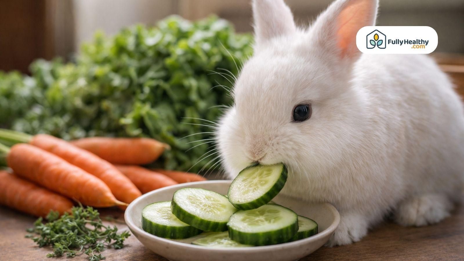 White rabbit eating cucumber slices beside carrots and leafy greens indoors