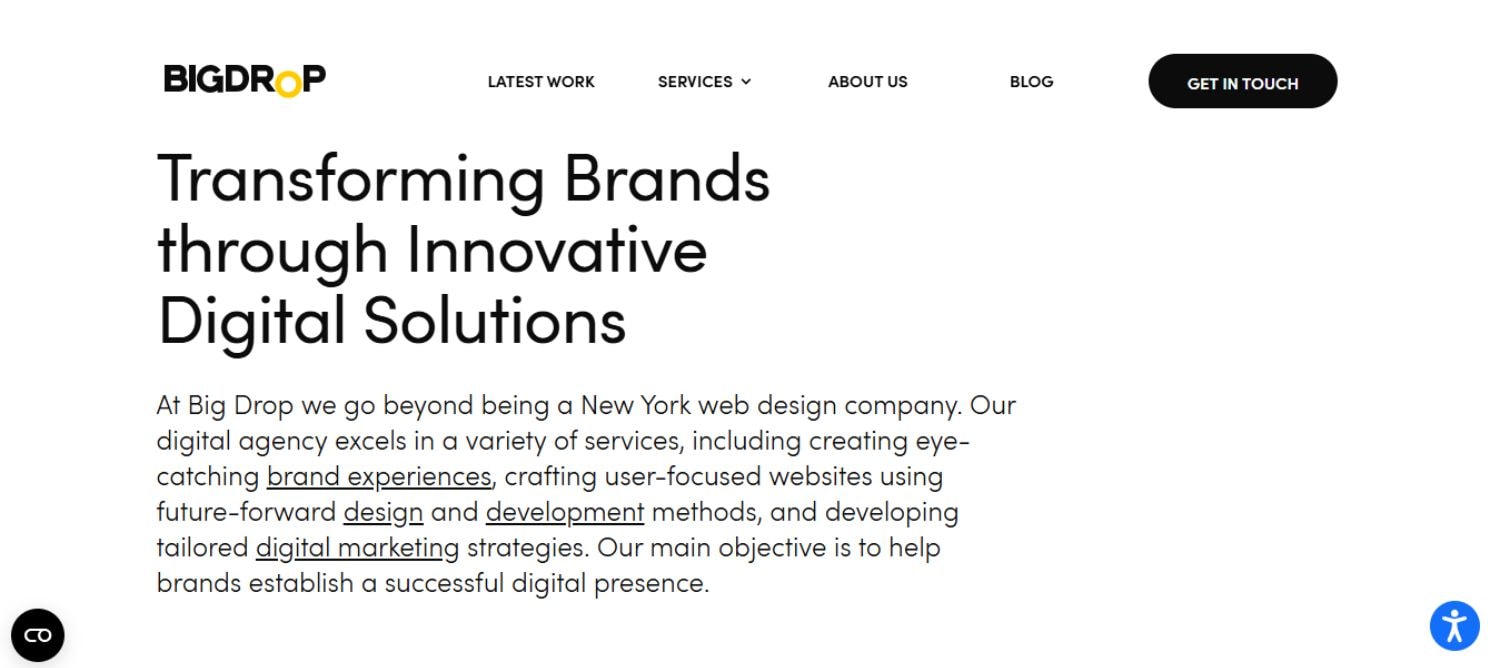BigDrop Inc – Best Web Design Firm for Aesthetic Functionality