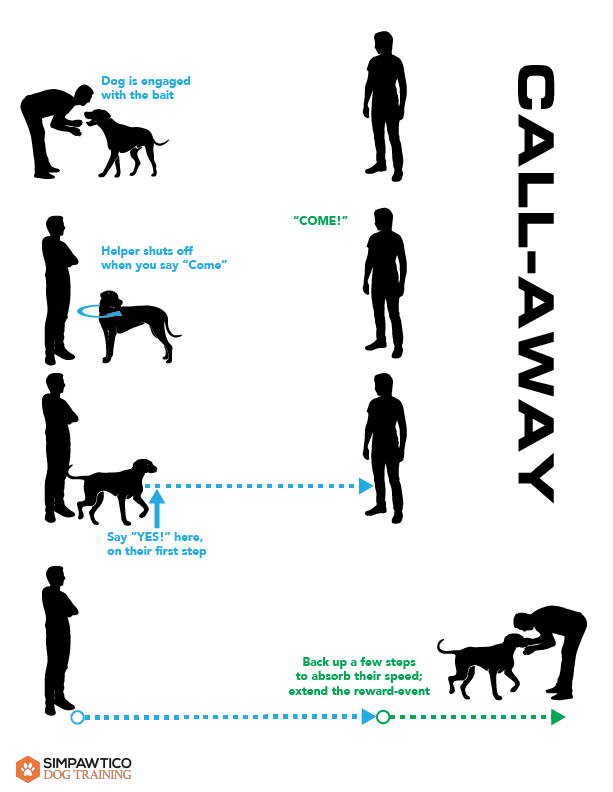 The Call-Away drill illustration, the first of our fun games for training Come to your dog
