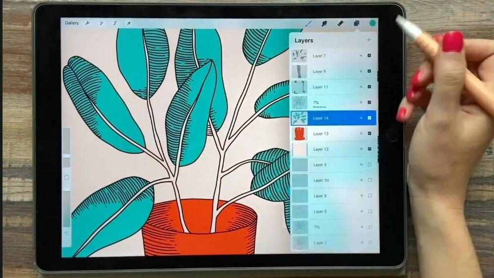 Procreate Courses - 10