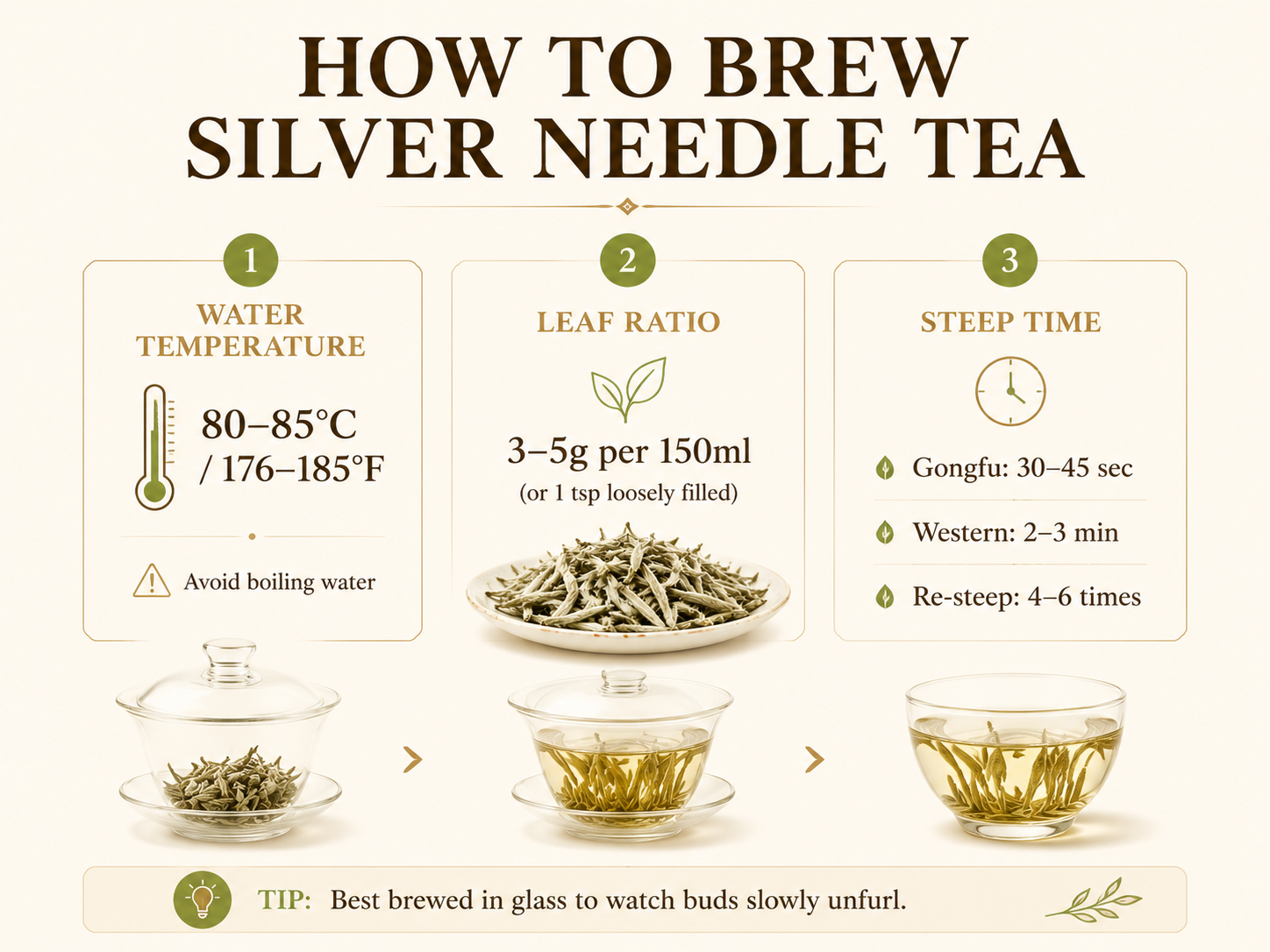 HOW TO BREW SILVER NEEDLE TEA