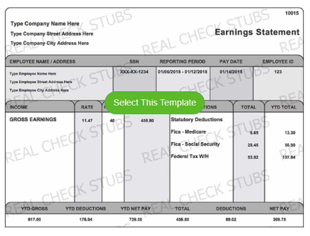 Half Page Pay Stub Sample From Real Check Stubs