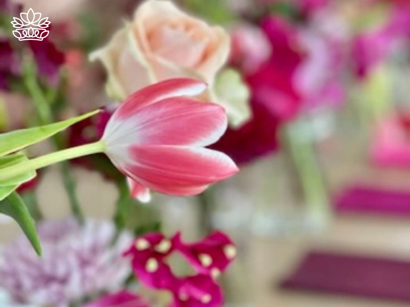 Soft-focused image of a tulip, part of a peaceful and celebratory Eid Mubarak floral display expressing the joy of Happy Eid, invoking blessings from Allah, featured in the Eid Flowers Collection by Fabulous Flowers and Gifts.