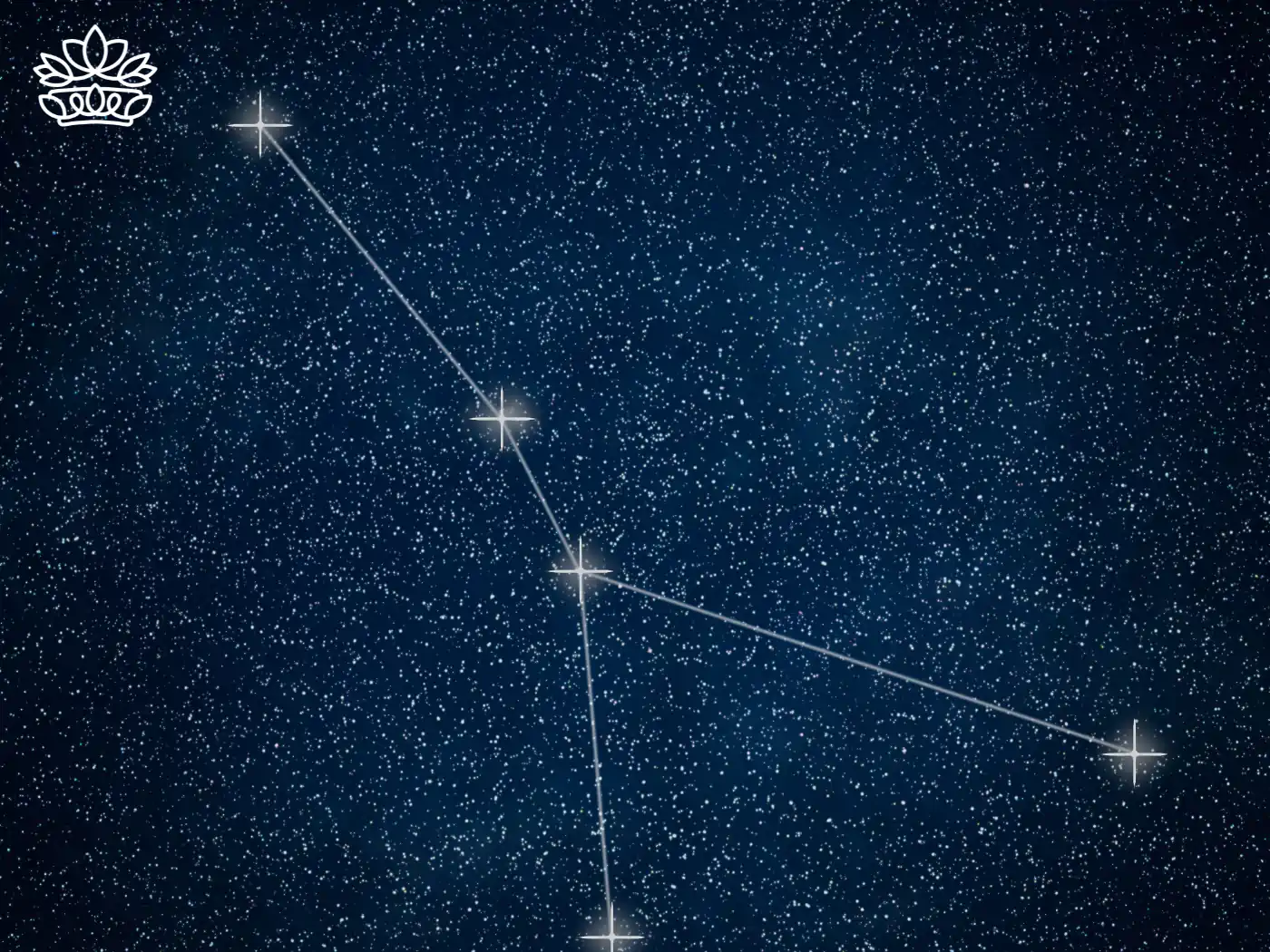 The Cancer constellation mapped out against a starry night sky - Fabulous Flowers and Gifts.