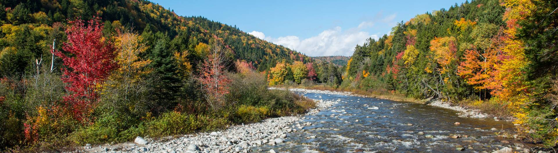 Wolfe lake, hopewell rocks and goose river are all popular areas