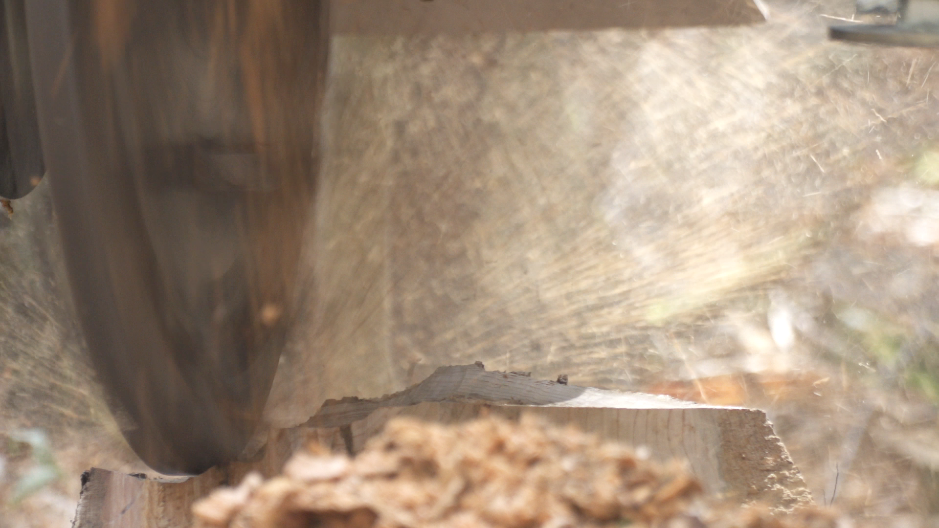 The wheel of a stump grinder, a piece of heavy machinery, turning a stump on a job site into mulch.