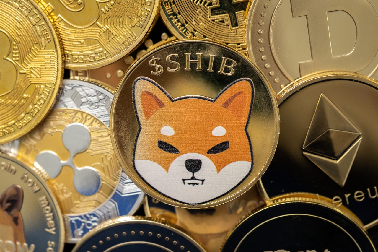 Downsides of Using Shiba Inu Coin