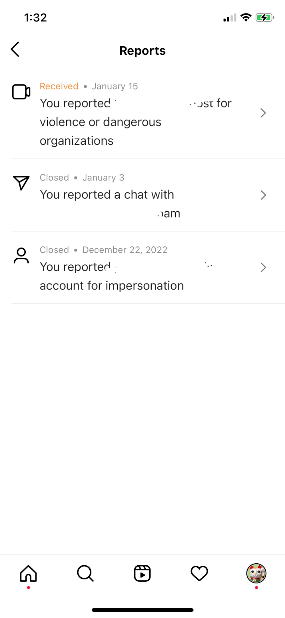 Screenshot of Instagram report