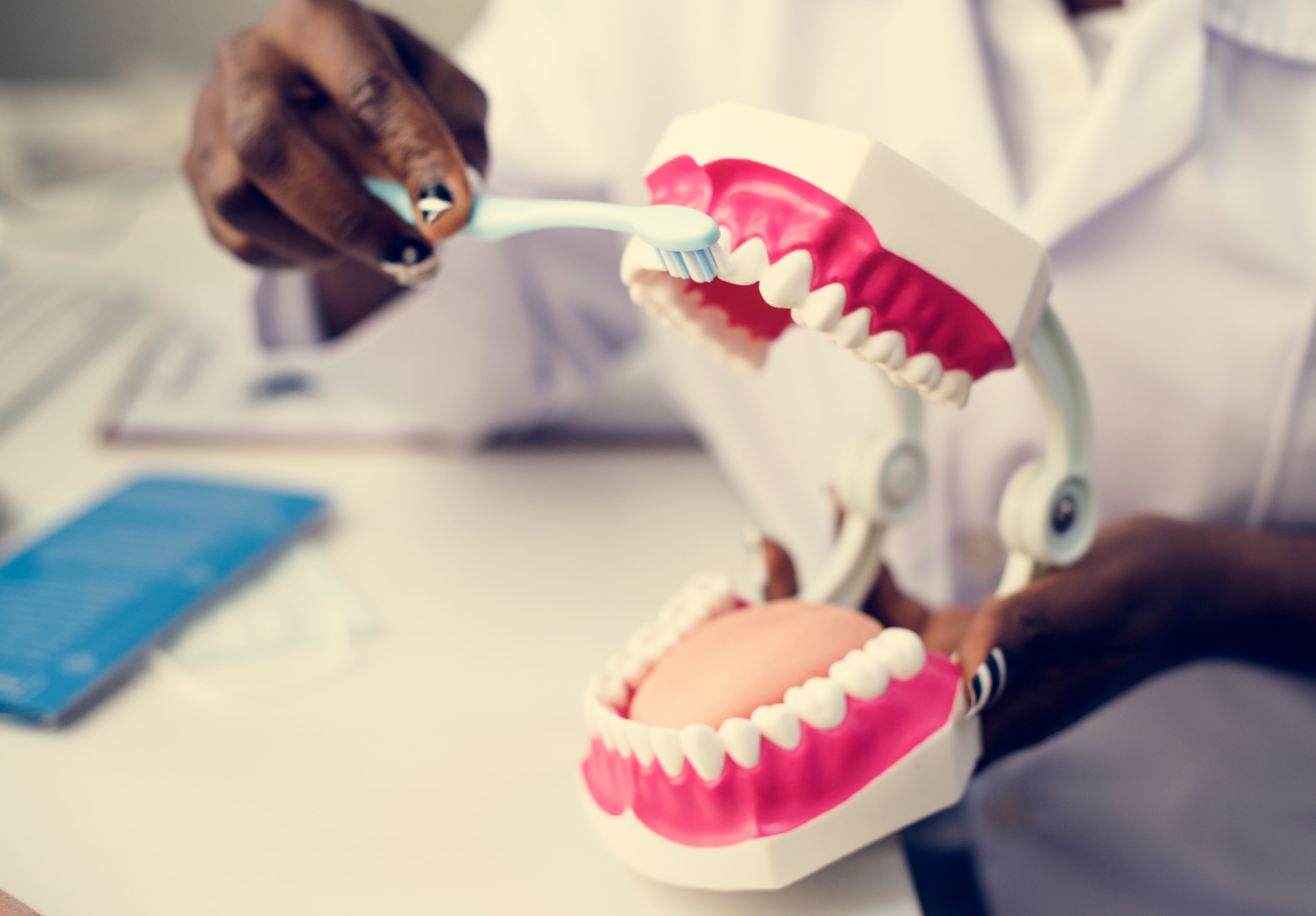 Person brushing dental models to show proper oral care