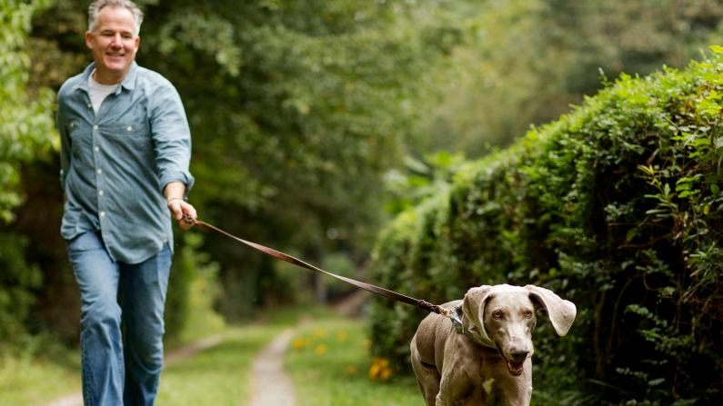 Why Two Dogs Are Better Than One