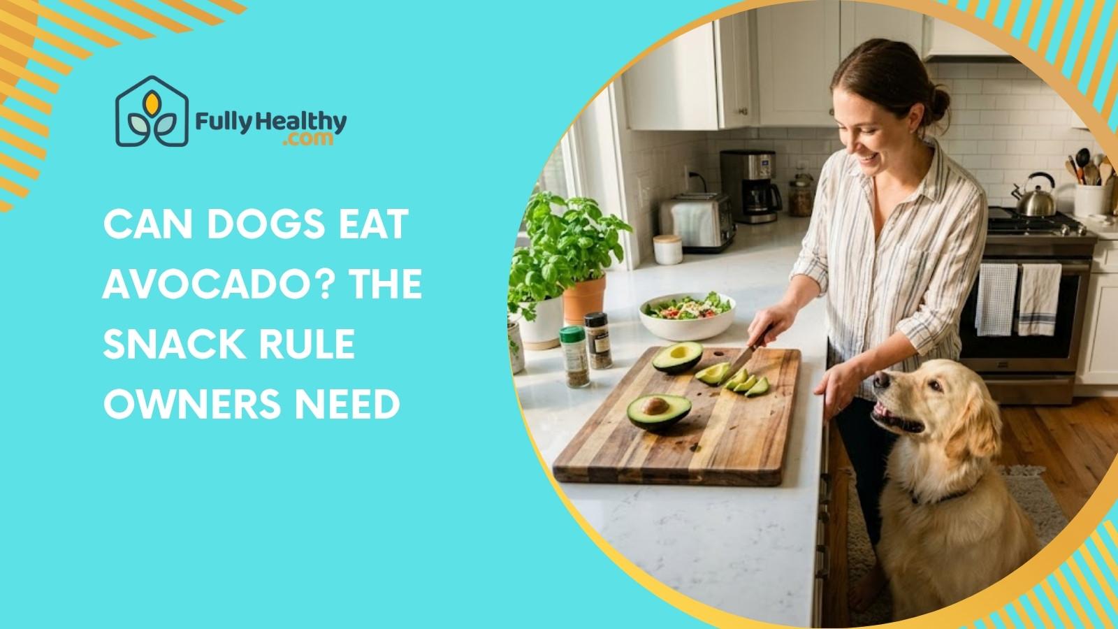 Can Dogs Eat Avocado? The Snack Rule Owners Need