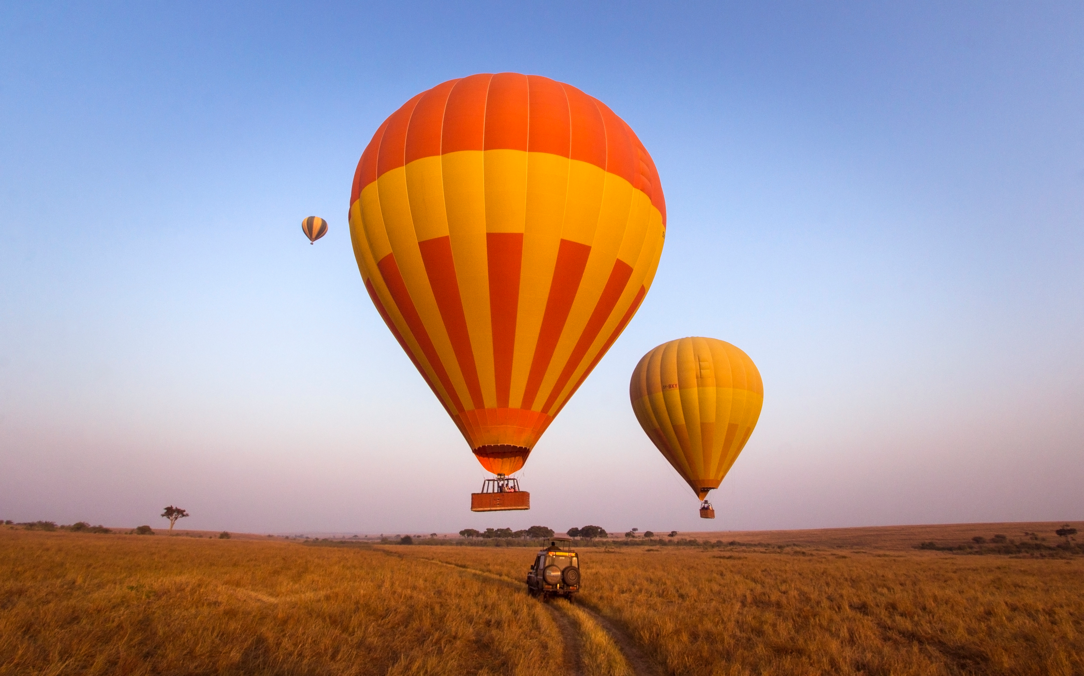 Hot air balloons over a grass field and a car