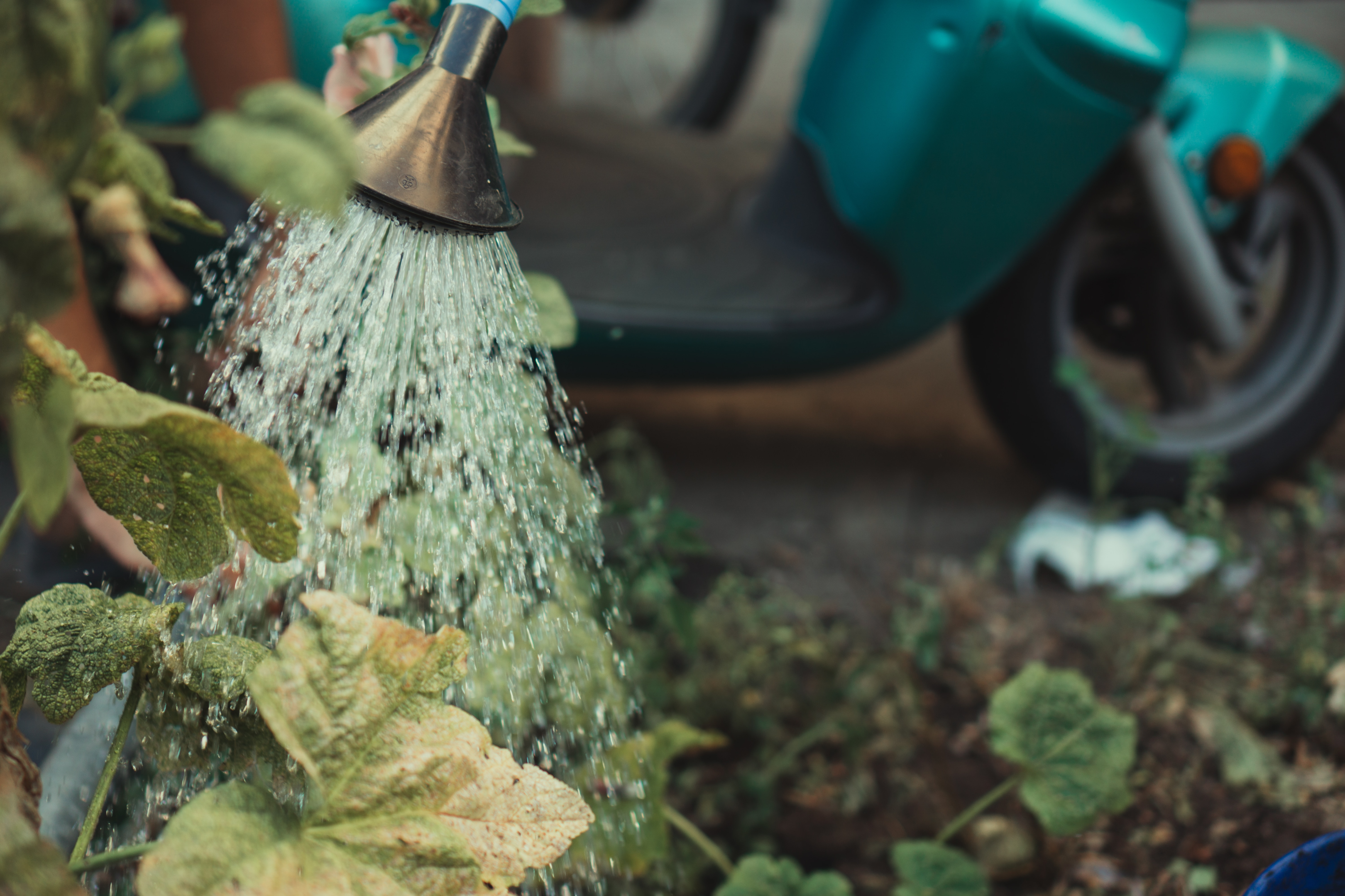 Conserving water the Filipino way!