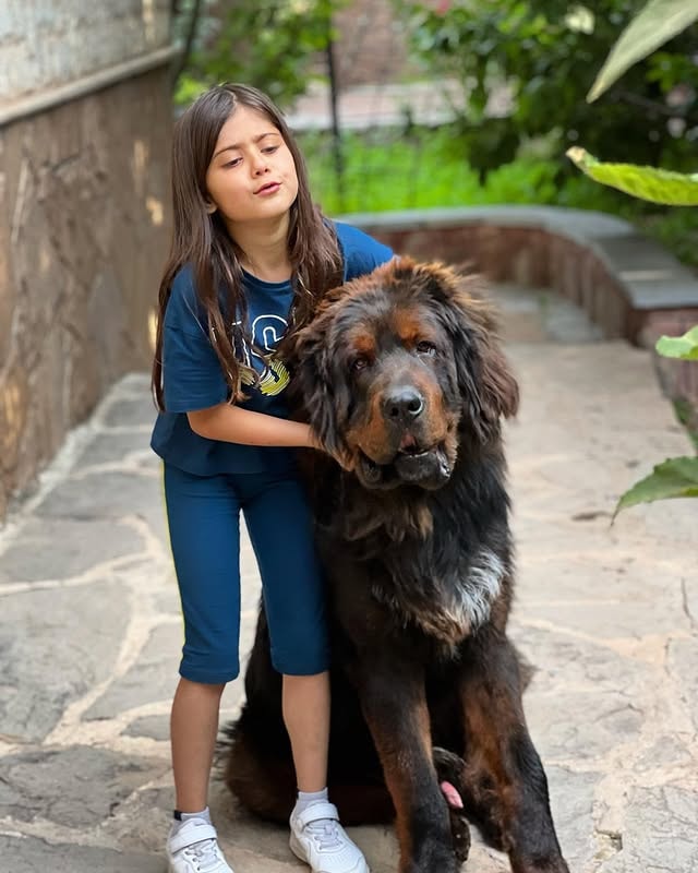 a girl with her tibetan mastiff dog (bunny.liue