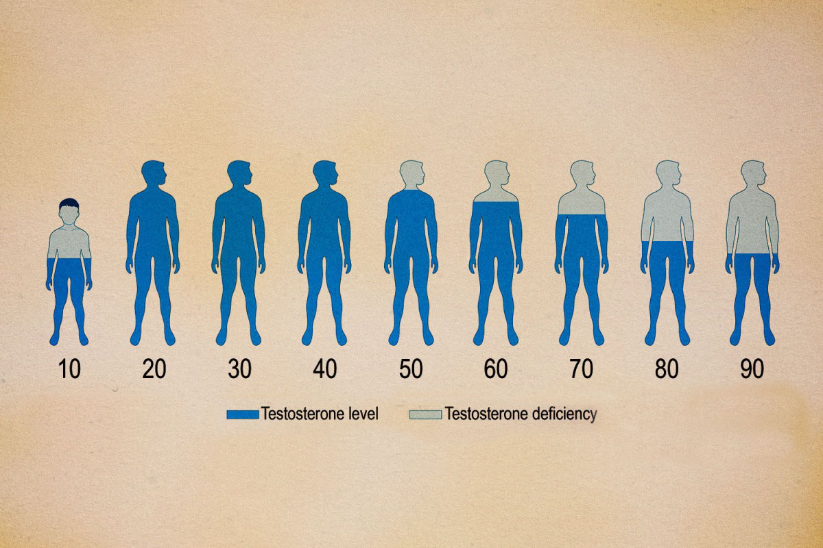 HRT Vs TRT For Men Women Clinics