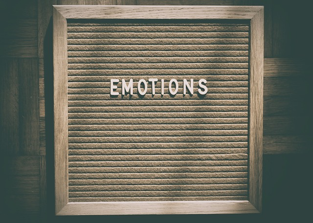 Sign that says "emotions"