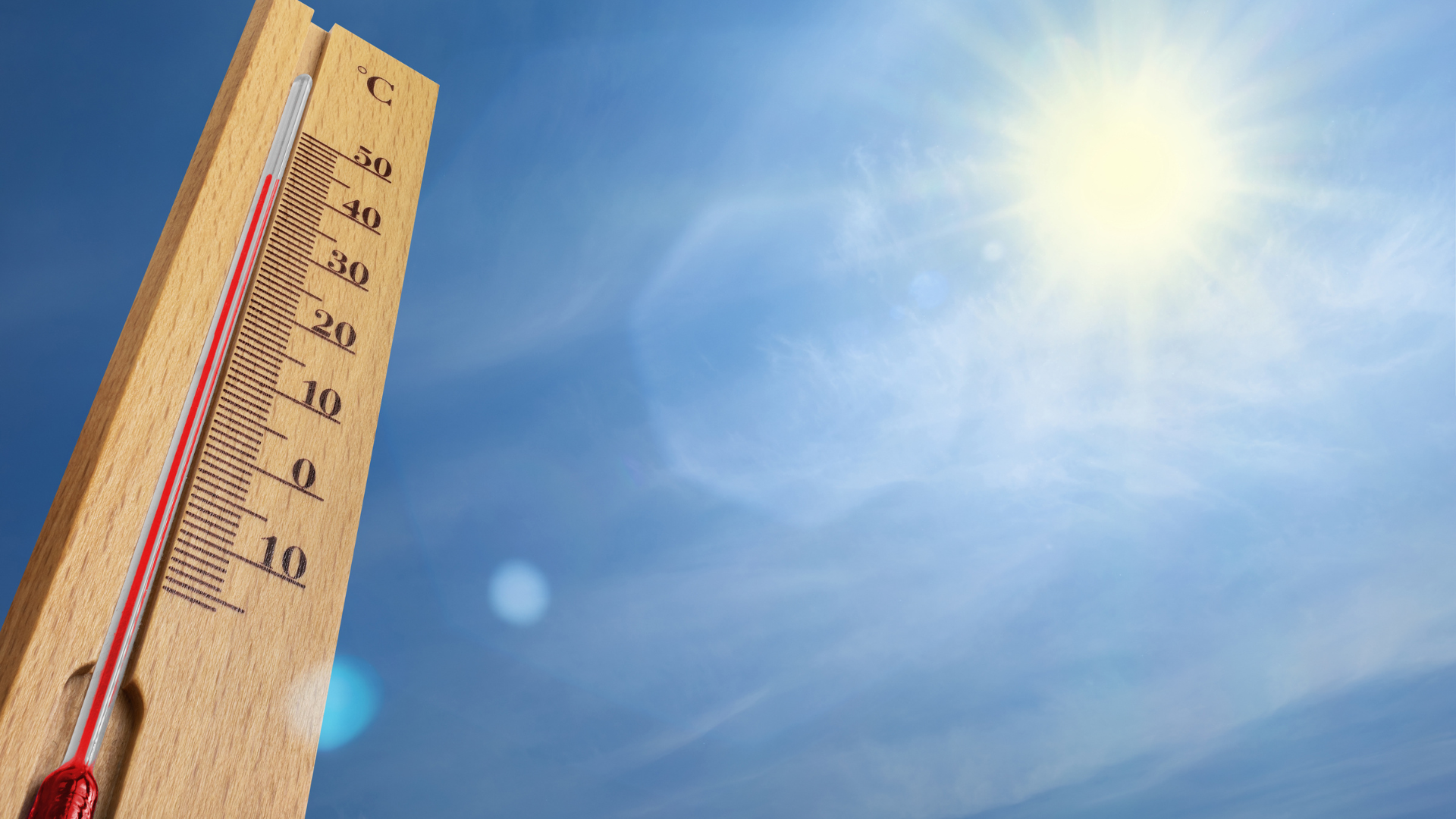 Hitzeschutz Sommer Tiere