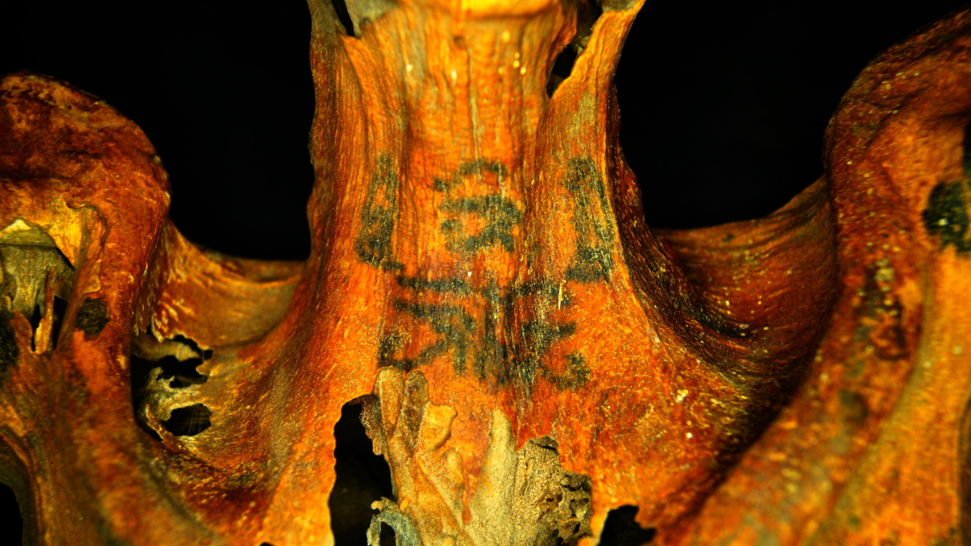 Ornamental tattoo on a mummy's neck.