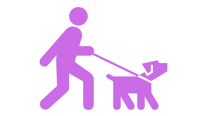Image showing a man walking with a dog with the dog being leashed. 