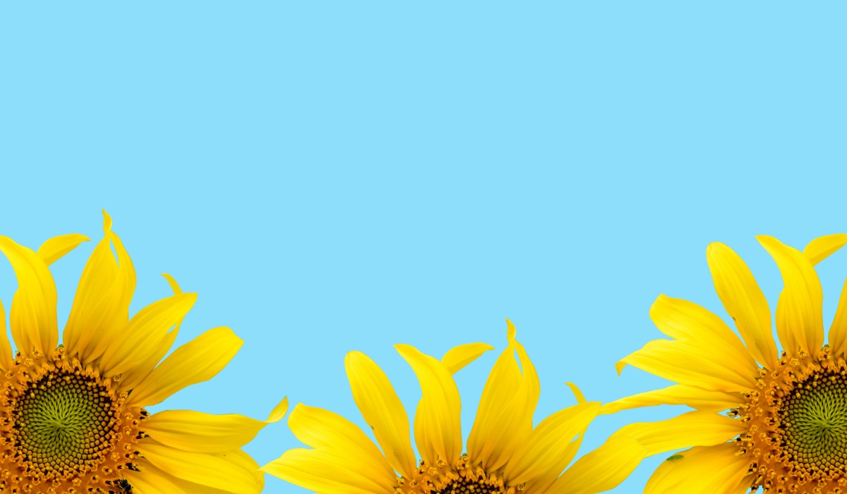 Kitchen Summer-Colours Makeover: Painting Your Kitchen Cabinets for Spring & Summer - sunflowers against skyblue background