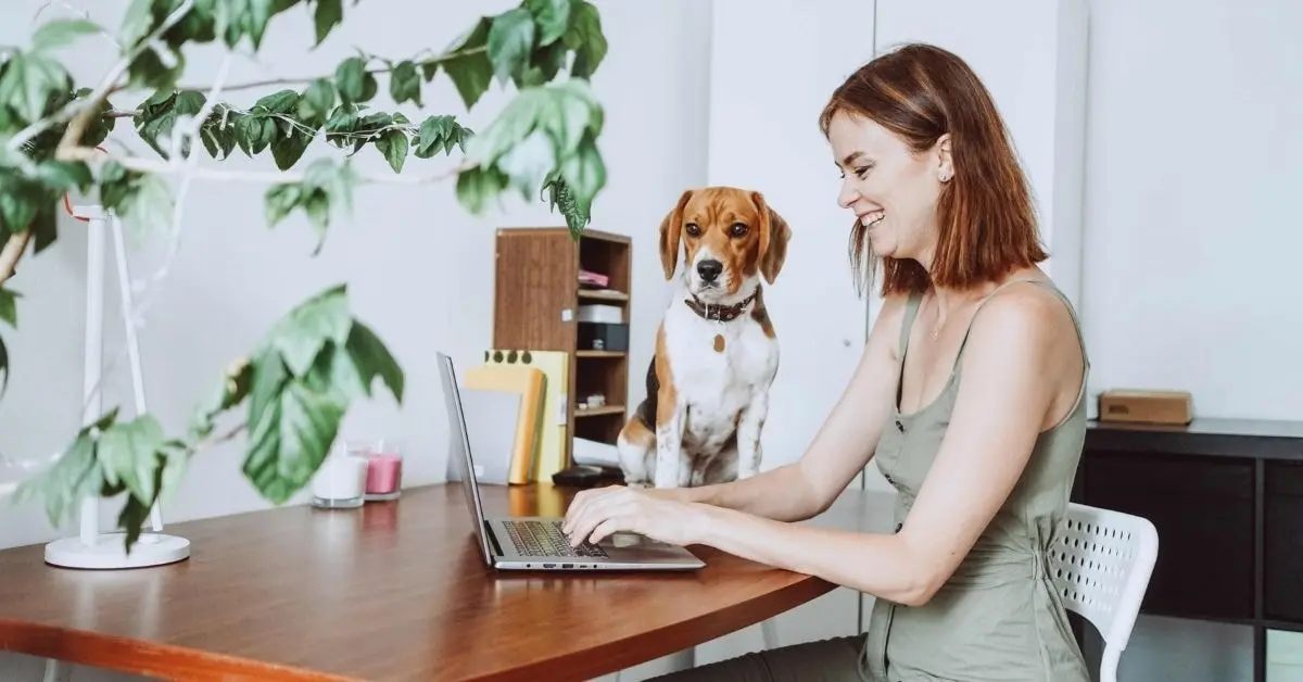 A happy OnlyFans creator doing income tax planning with her dog.