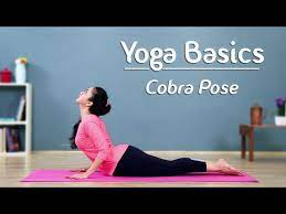 Cobra Pose – Step By Step | Bhujangasana | Yoga For Beginners - Yoga With  AJ - YouTube