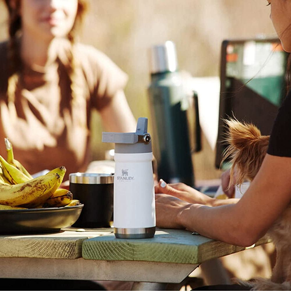 A Stanley Tumbler with dishwasher safe components