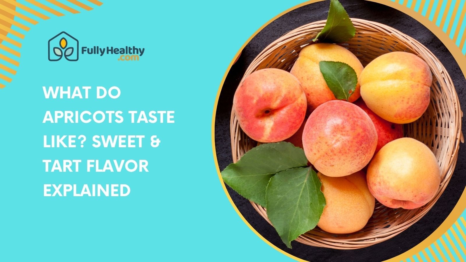 What Do Apricots Taste Like? Sweet & Tart Flavor Explained