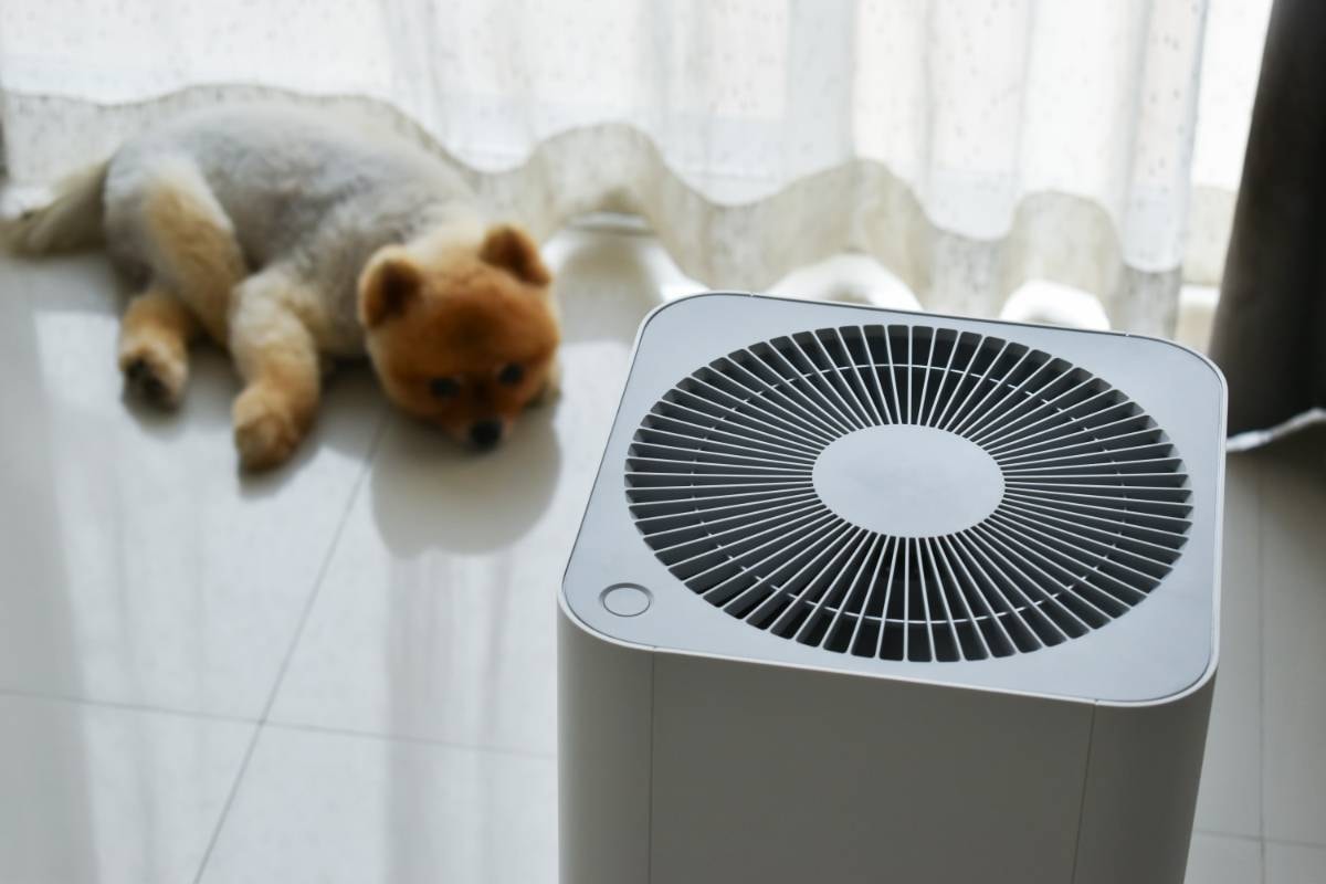 A small dog rests on the floor with an air purifier in the foreground, showcasing the benefits of Air Purifiers for Dogs in reducing allergens and keeping the air pure