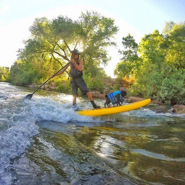 dog on an inflatable paddle board in whitewater