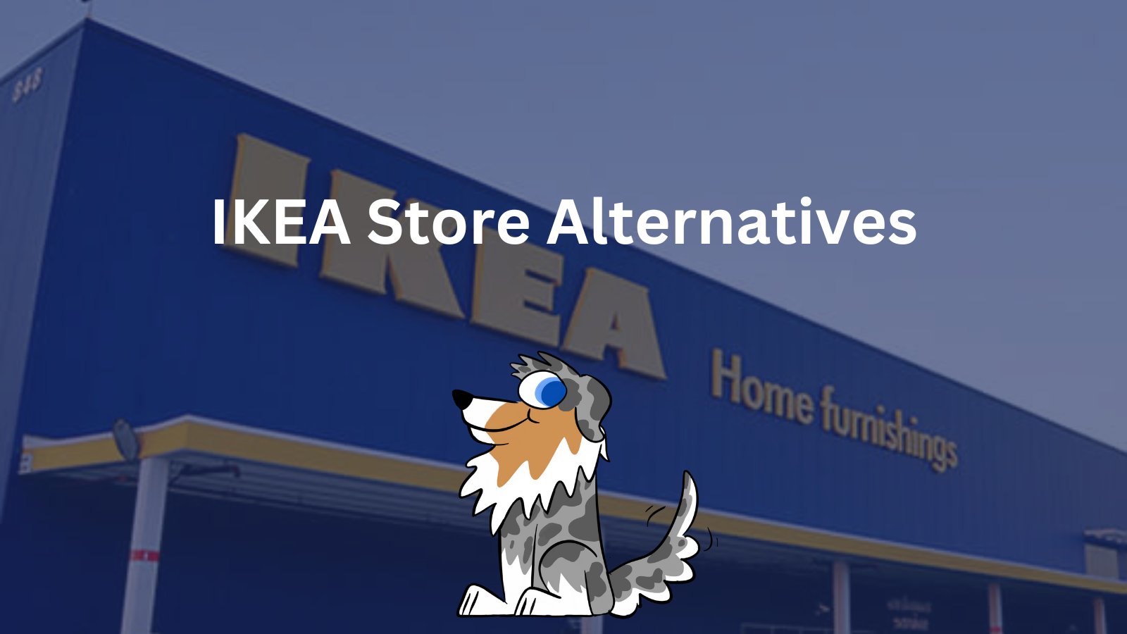 IKEA Store Alternatives