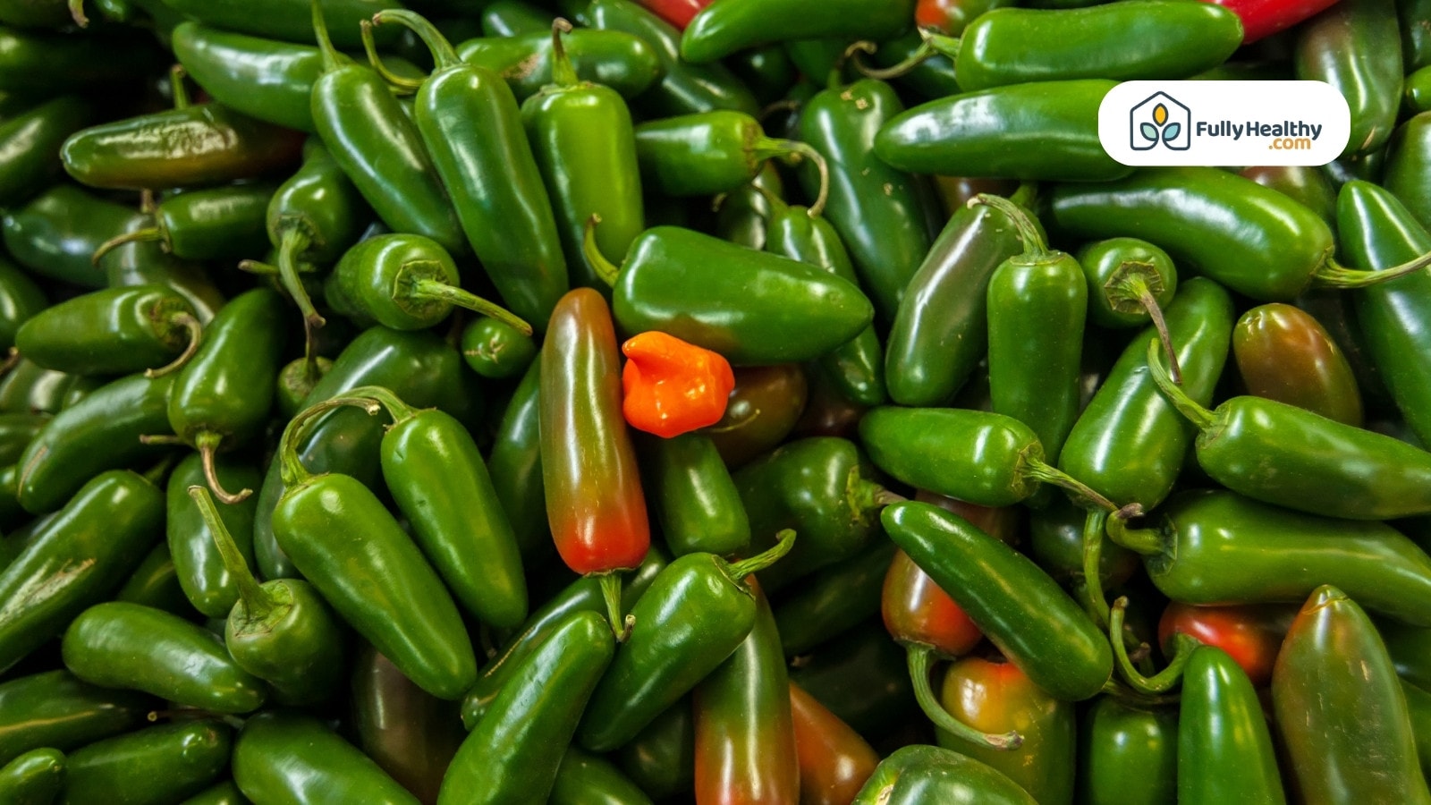 Pile of jalapeños with single bright orange pepper standing out