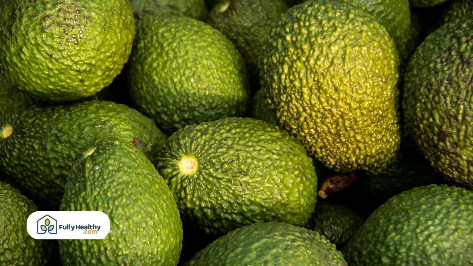 Bright green unripe hass avocados with bumpy skin and smooth tops