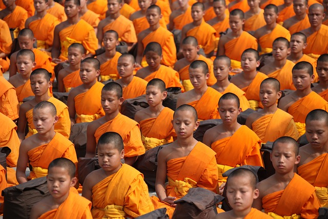 buddhists, monks, meditate