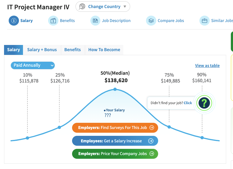 IT project manager salary