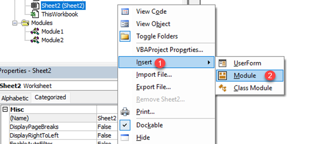Steps to insert a new Module - Visual Basic Editor in project window