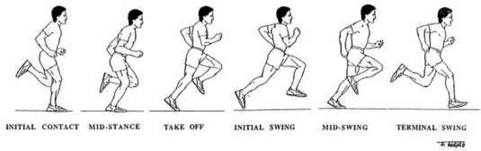 Optimising Your Running Technique To Reduce Those Frustrating Injuries Optimising Your Running Technique To Reduce Those Frustrating Injuries