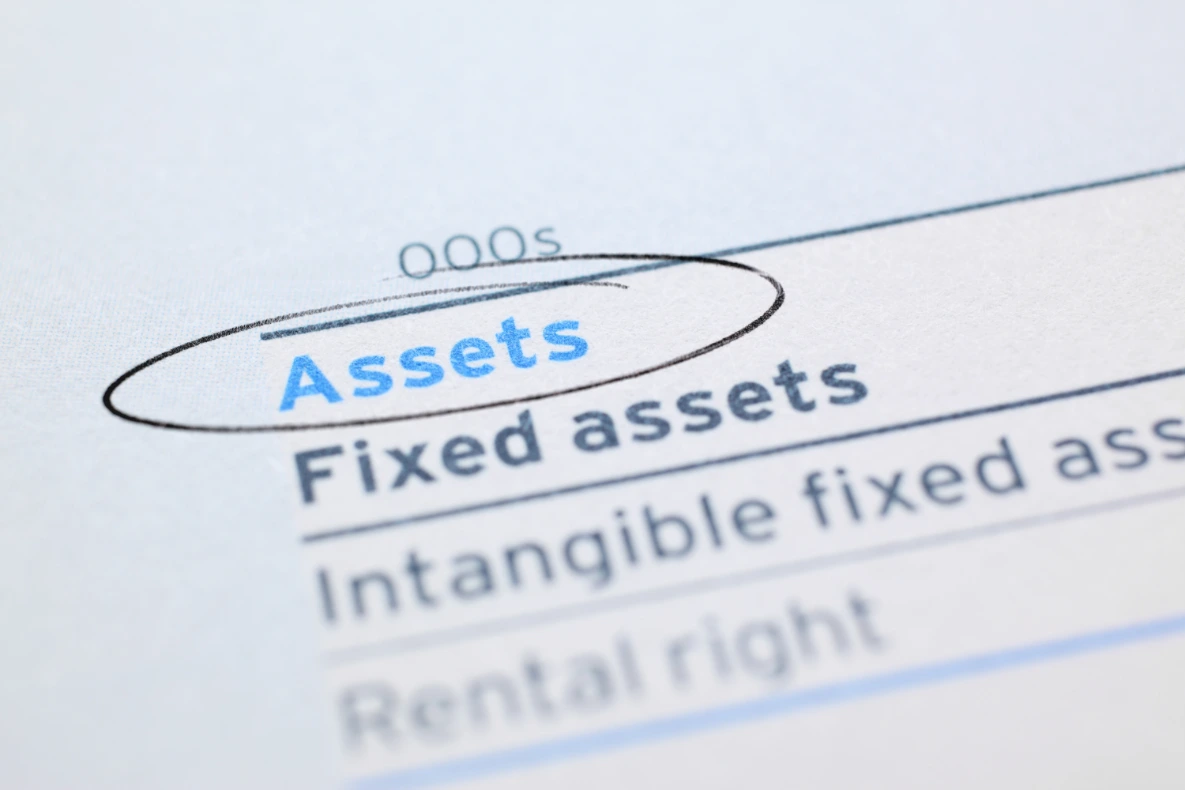 The word Assets is circled on a financial document listing Fixed assets, Intangible fixed assets, and Rental right.