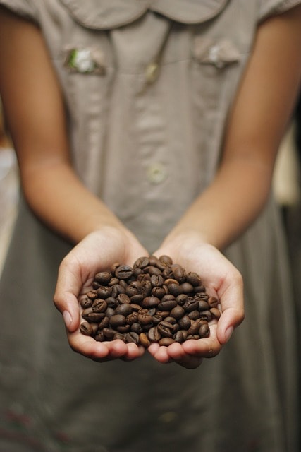 coffee, coffee beans, add hot water to the water tank