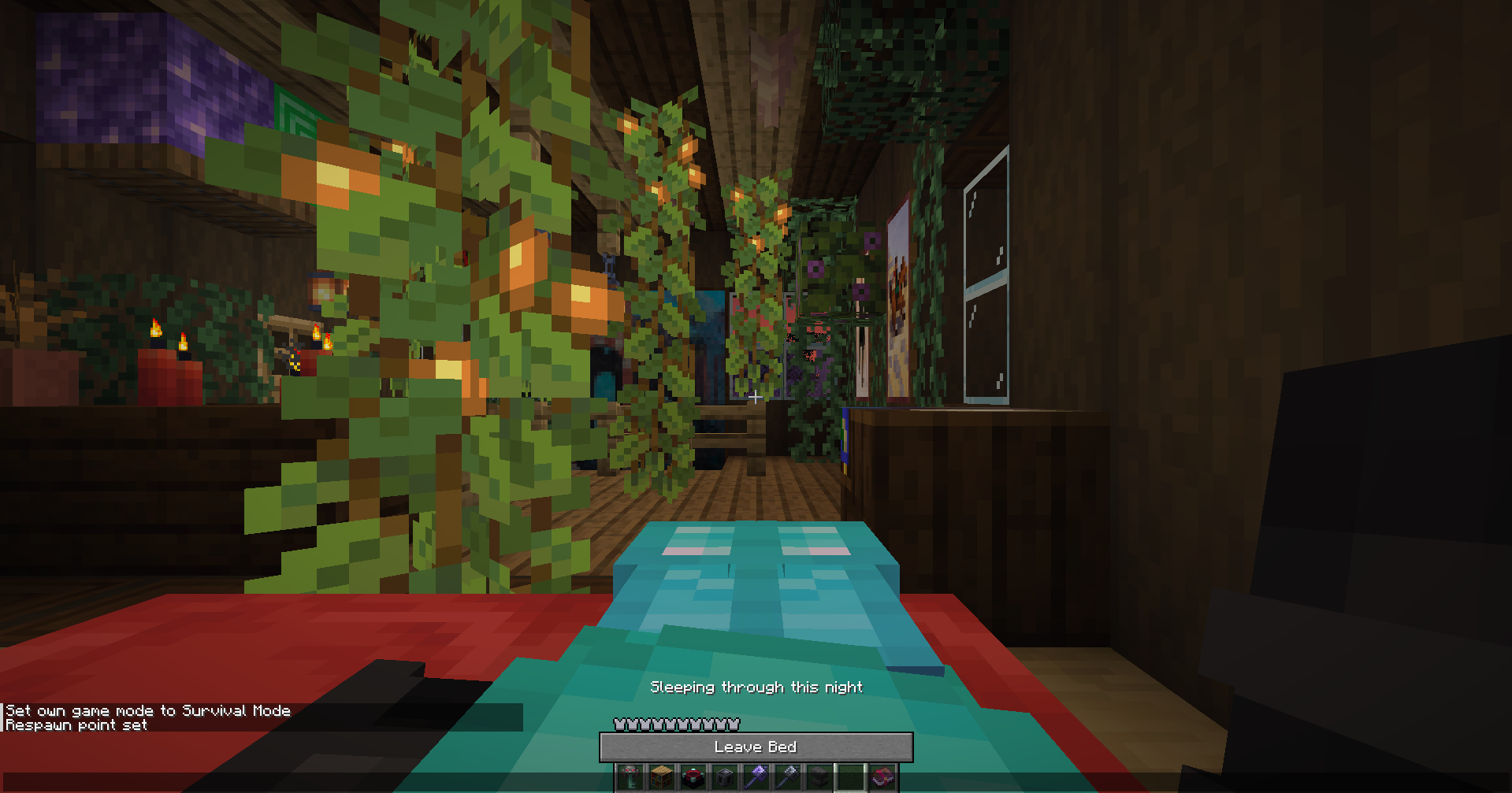 The player sleeping on a Bed. 