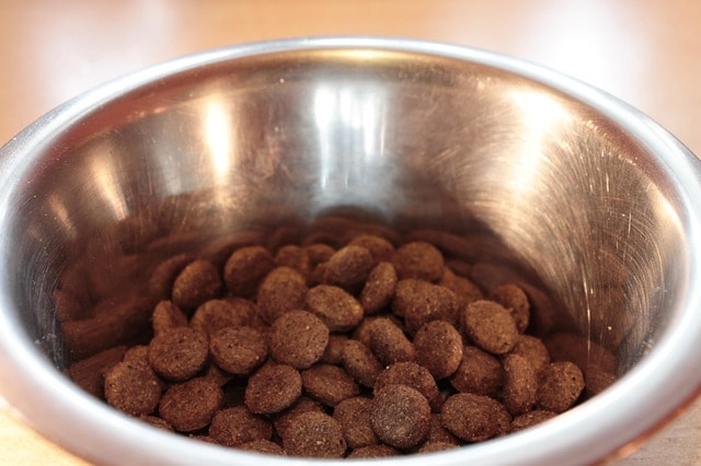 food bowl, fressnapf, dog food, dried animal food, metal bowl, pet food, dog food, dog food, dog food, dog food, dog food