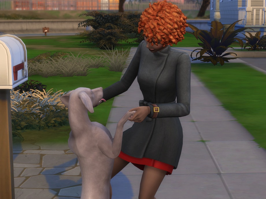 Pet Immortality Trait
